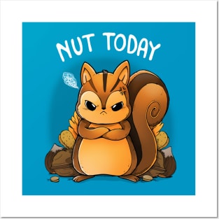 Nut Today Posters and Art